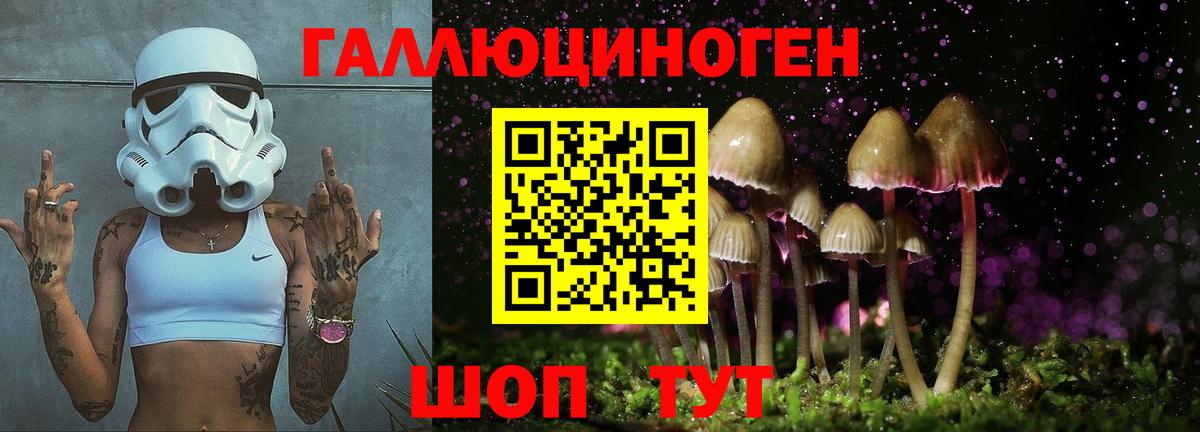Галлюциногенные грибы Cubensis  Вход с VPN  Серпухов 